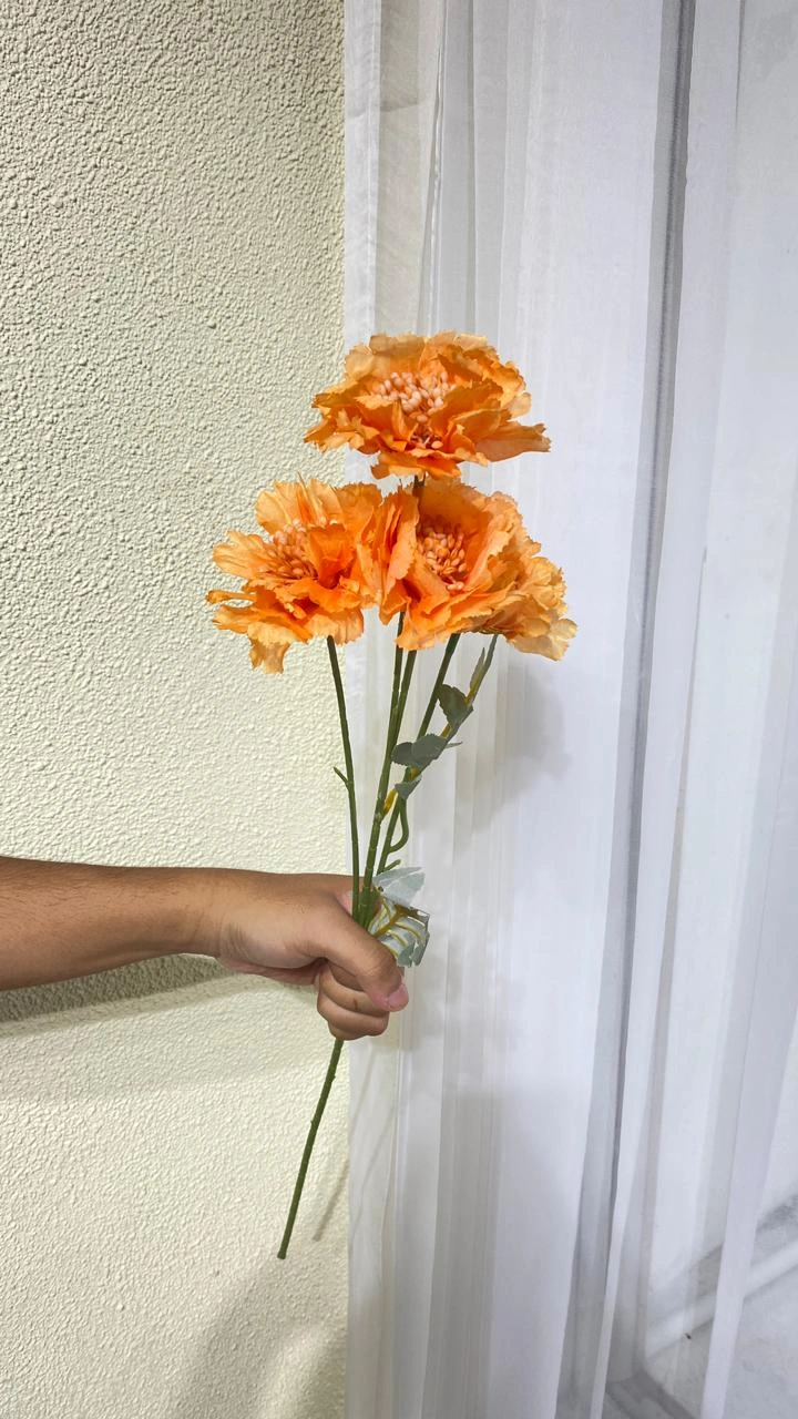 Scabiosa Orange