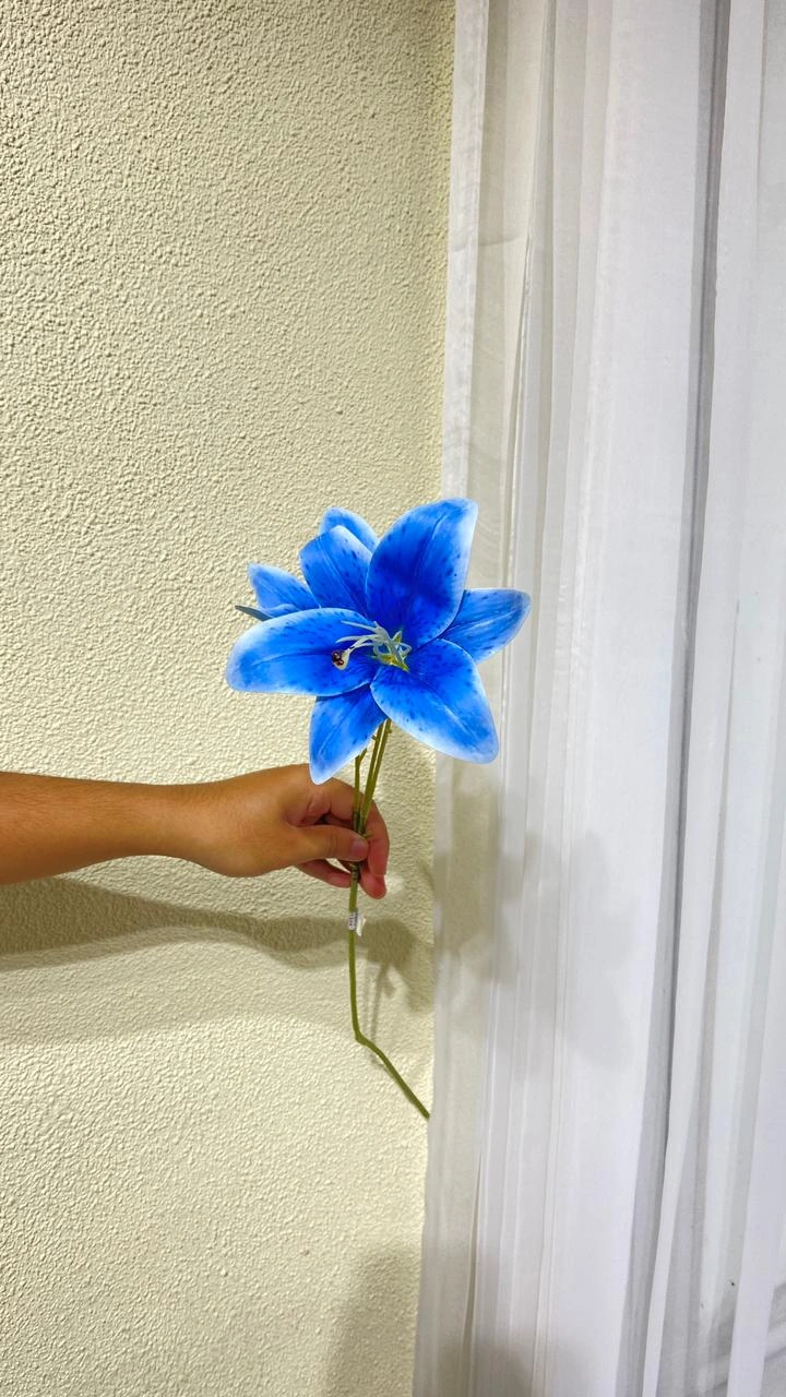 Cassablanca Lily 2tngkai Latex Biru