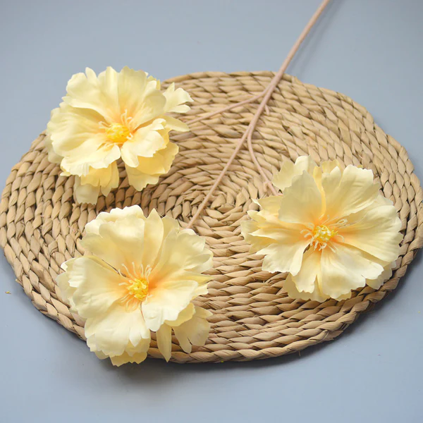 C16 Ranunculus butterfly 3 cabang cream