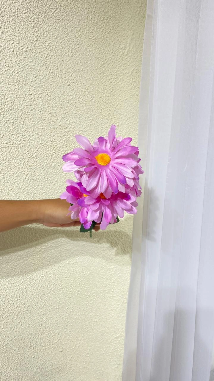 Gerbera