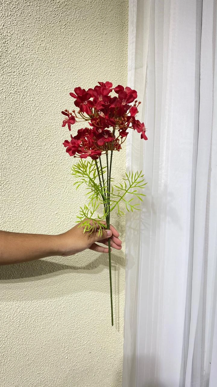 Aster Geranium Merah