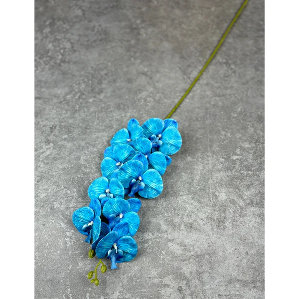 3D Orchid bright blue