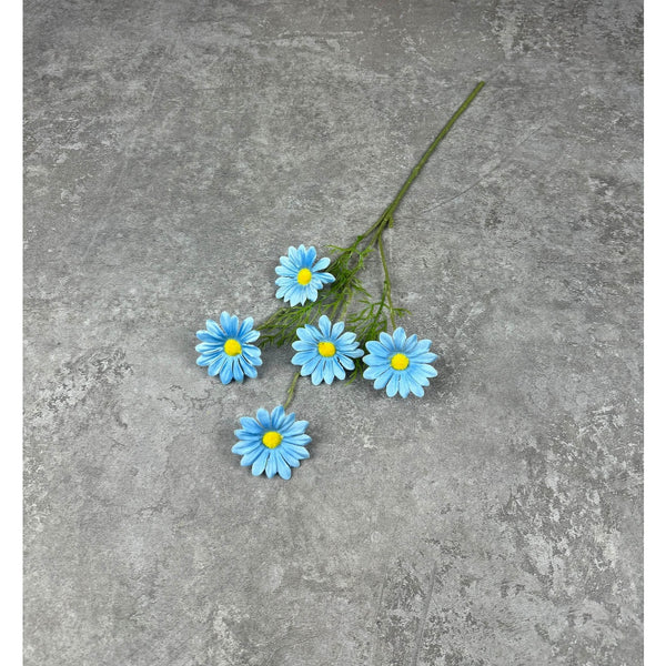 C12 Aster biru