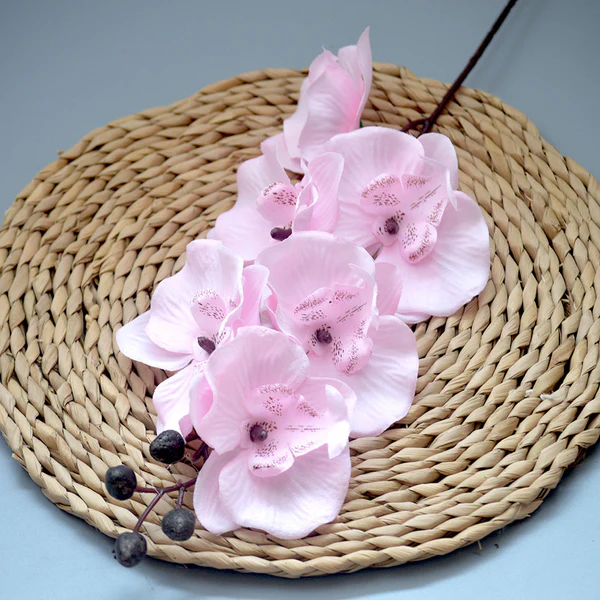 Dancing orchid pink