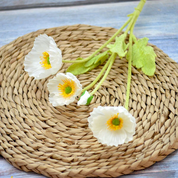 Poppy putih
