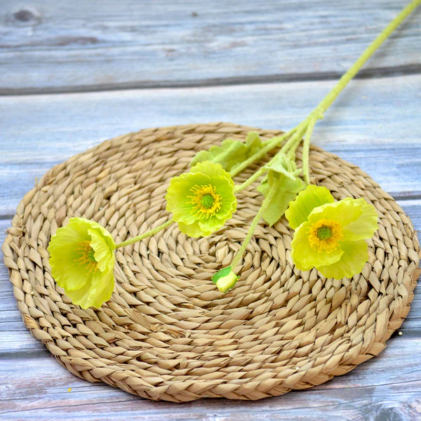 Poppy hijau