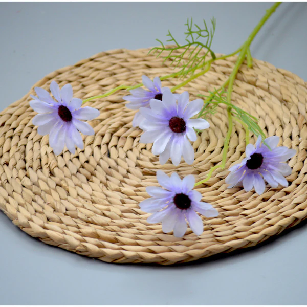 C12 Aster violet
