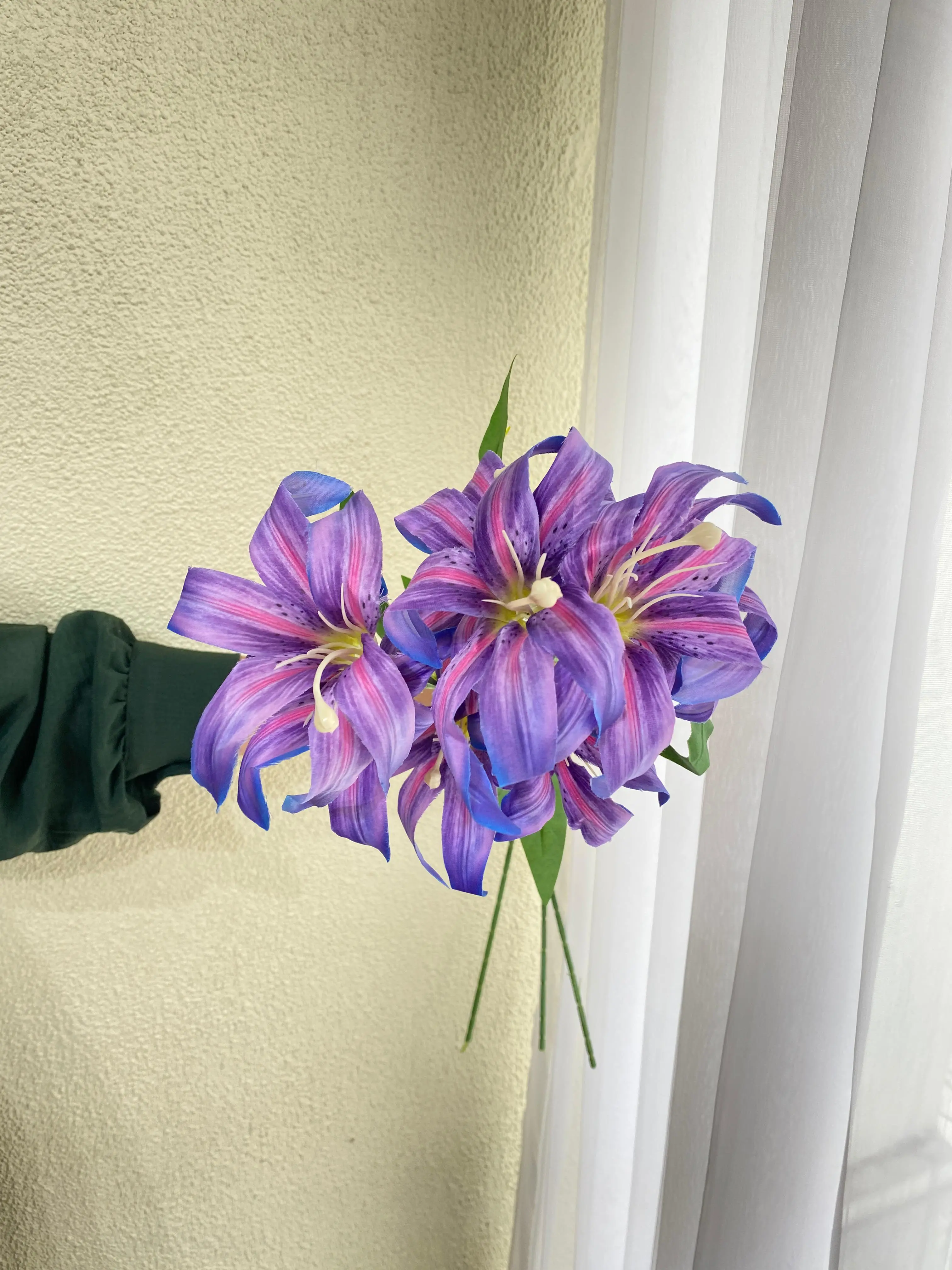 Martagon lily Purple