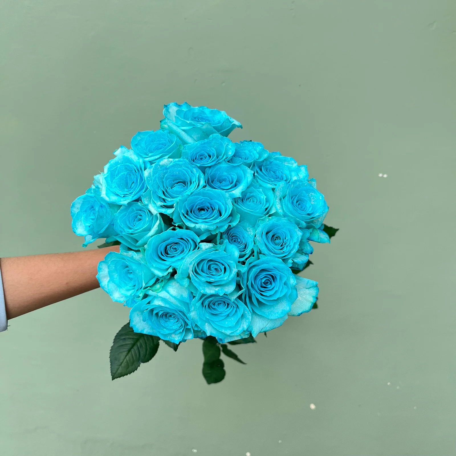 Mawar Warna Buatan ( Celup )