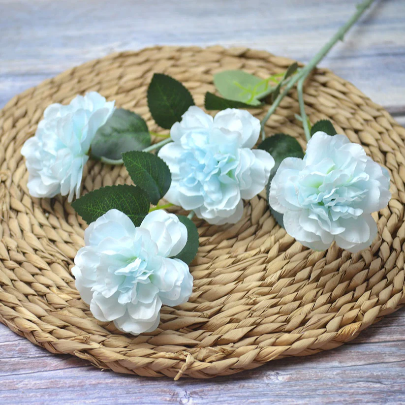 Yonpat carnation biru