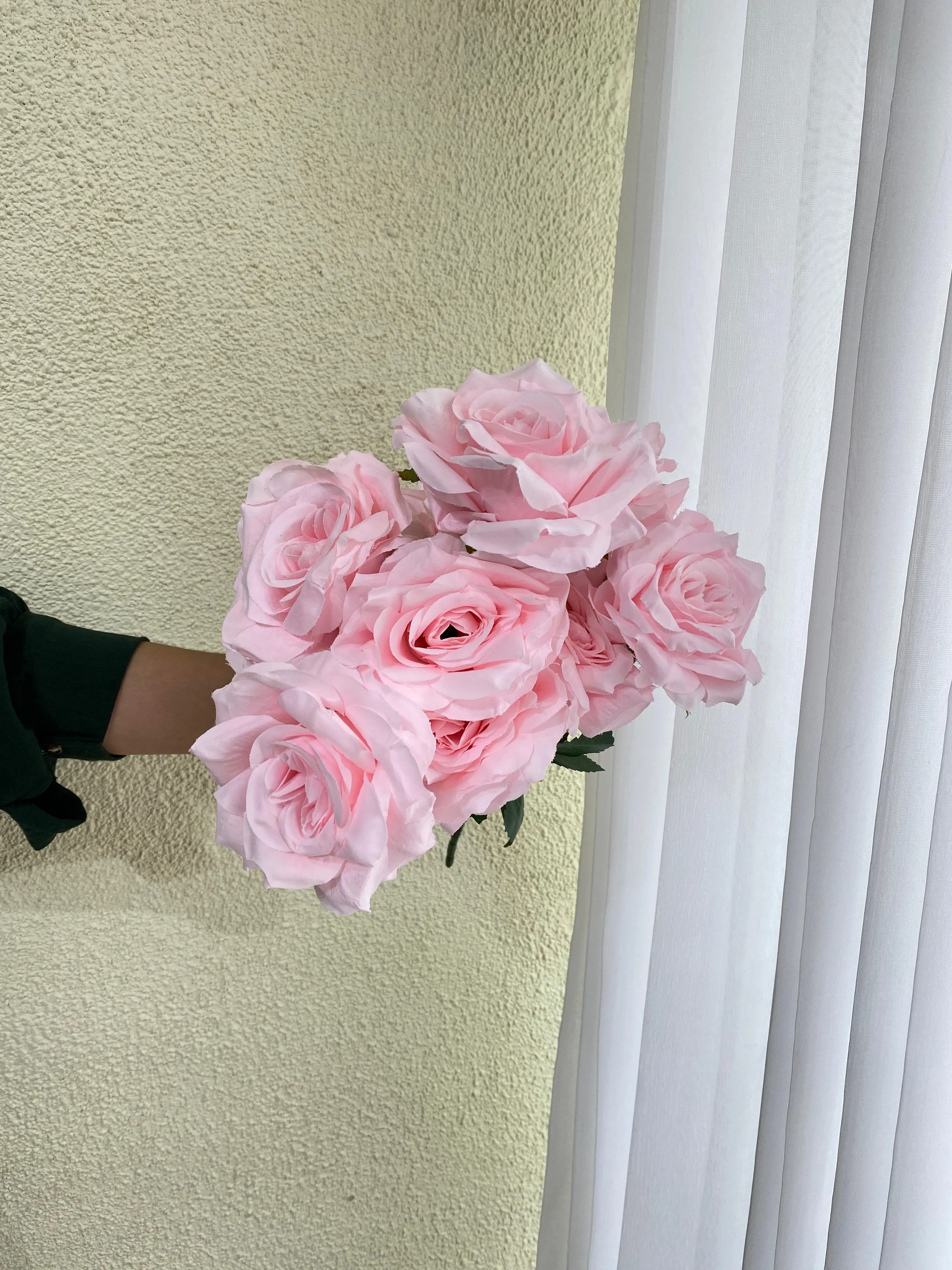 Mawar Diamond Pink Soft