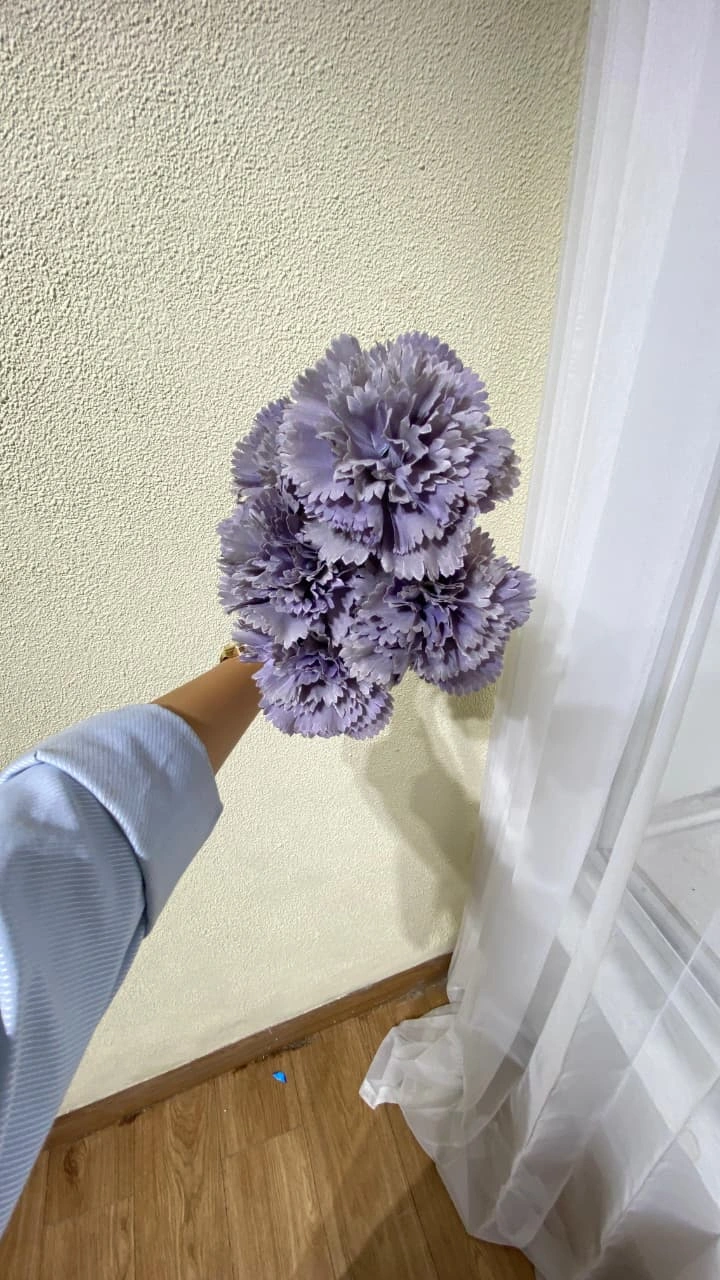 Carnation Ungu