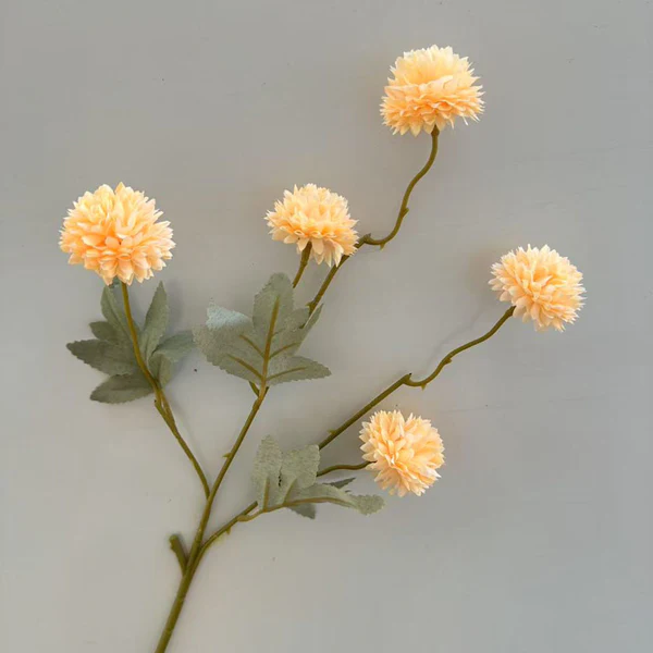 C25 Pompom mini champagne