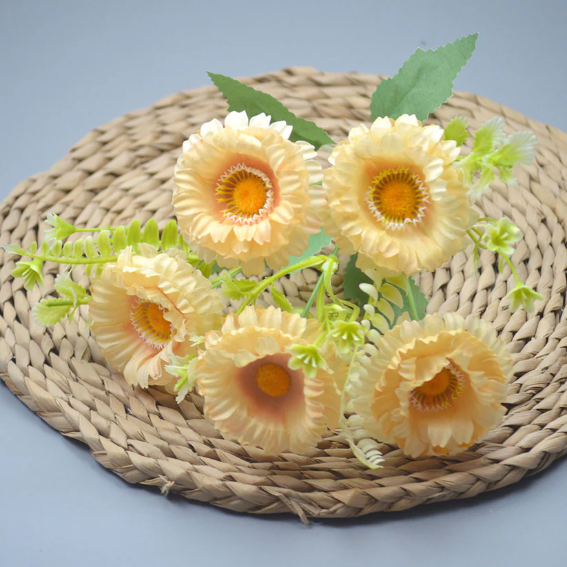 P116 Gerbera cream