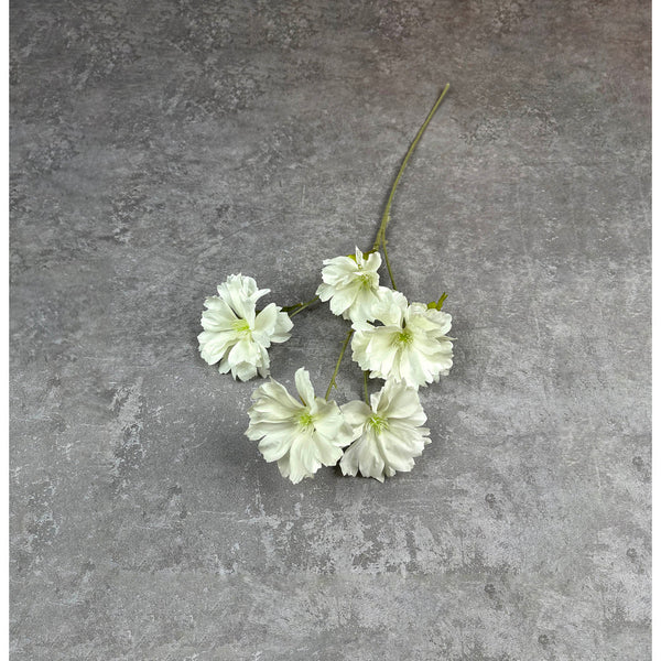 C88 Ranunculus butterfly putih