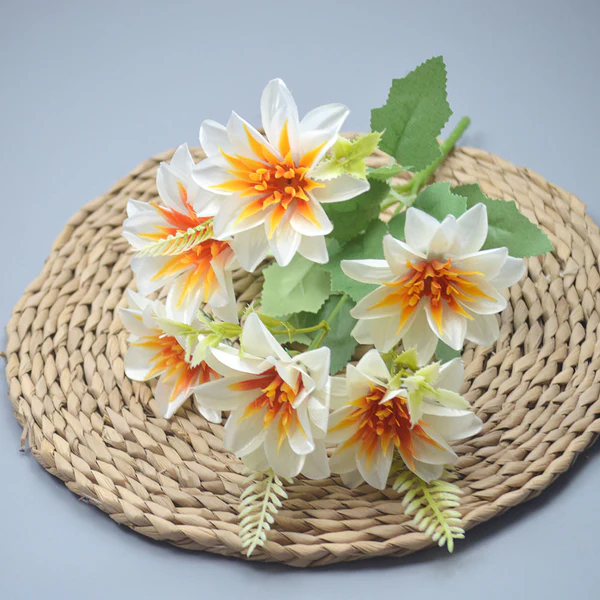 0112 Aster jimla putih